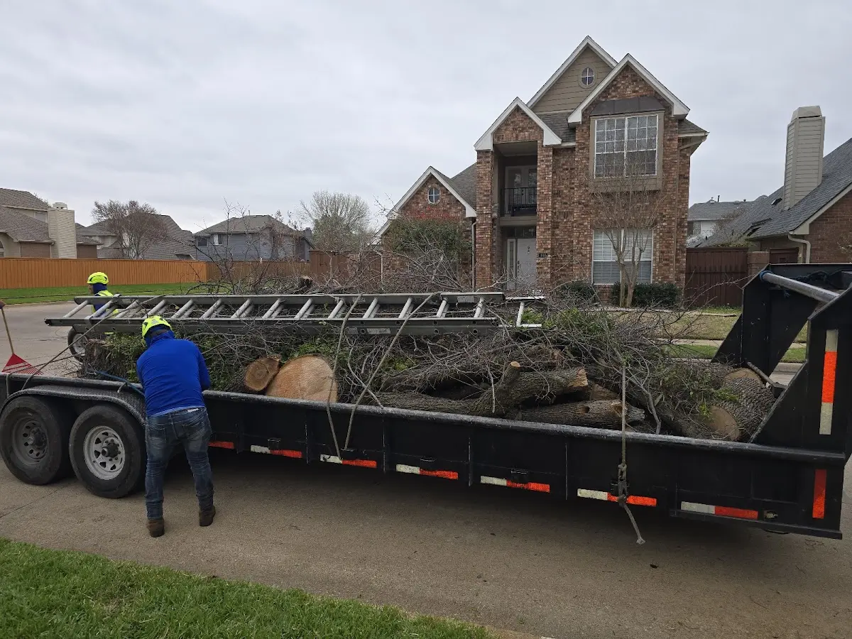 Expert Tree Pest Control with proper safety equipment in West Bloomfield